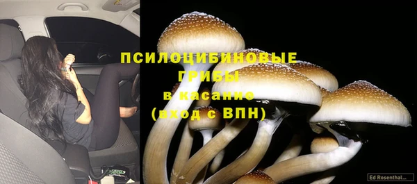 ALPHA PVP Алексеевка