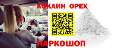гашик Кимры