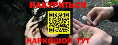 гашик Кимры