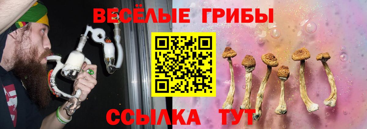 продажа наркотиков  Вход с VPN  Мичуринск  Псилоцибиновые грибы GOLDEN TEACHER  Псилоцибиновые грибы Cubensis 