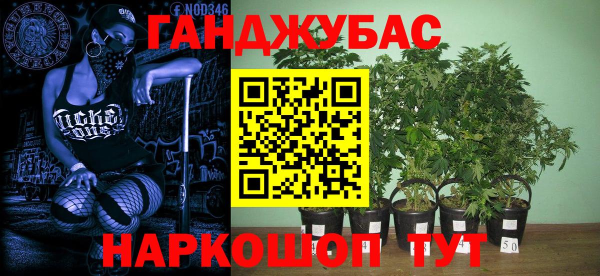Мичуринск  Бошки марихуана ГИДРОПОН  МАРИХУАНА THC 21%  МАРИХУАНА AK-47  Вход с VPN 